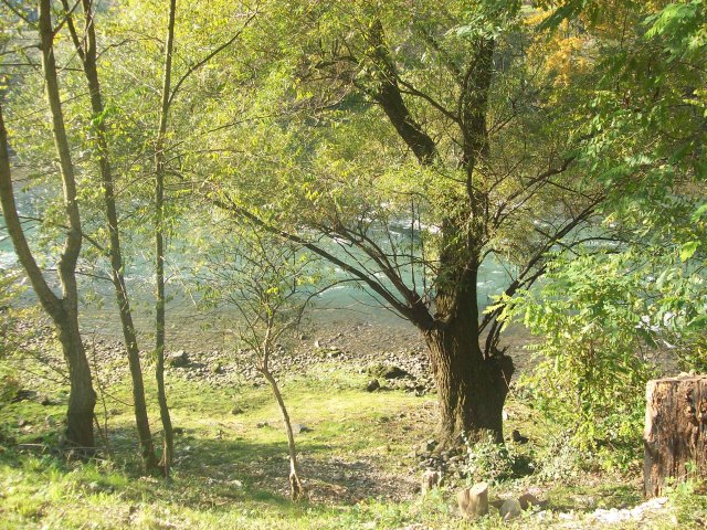 70419-Picture 001.jpg, 1.1 MB